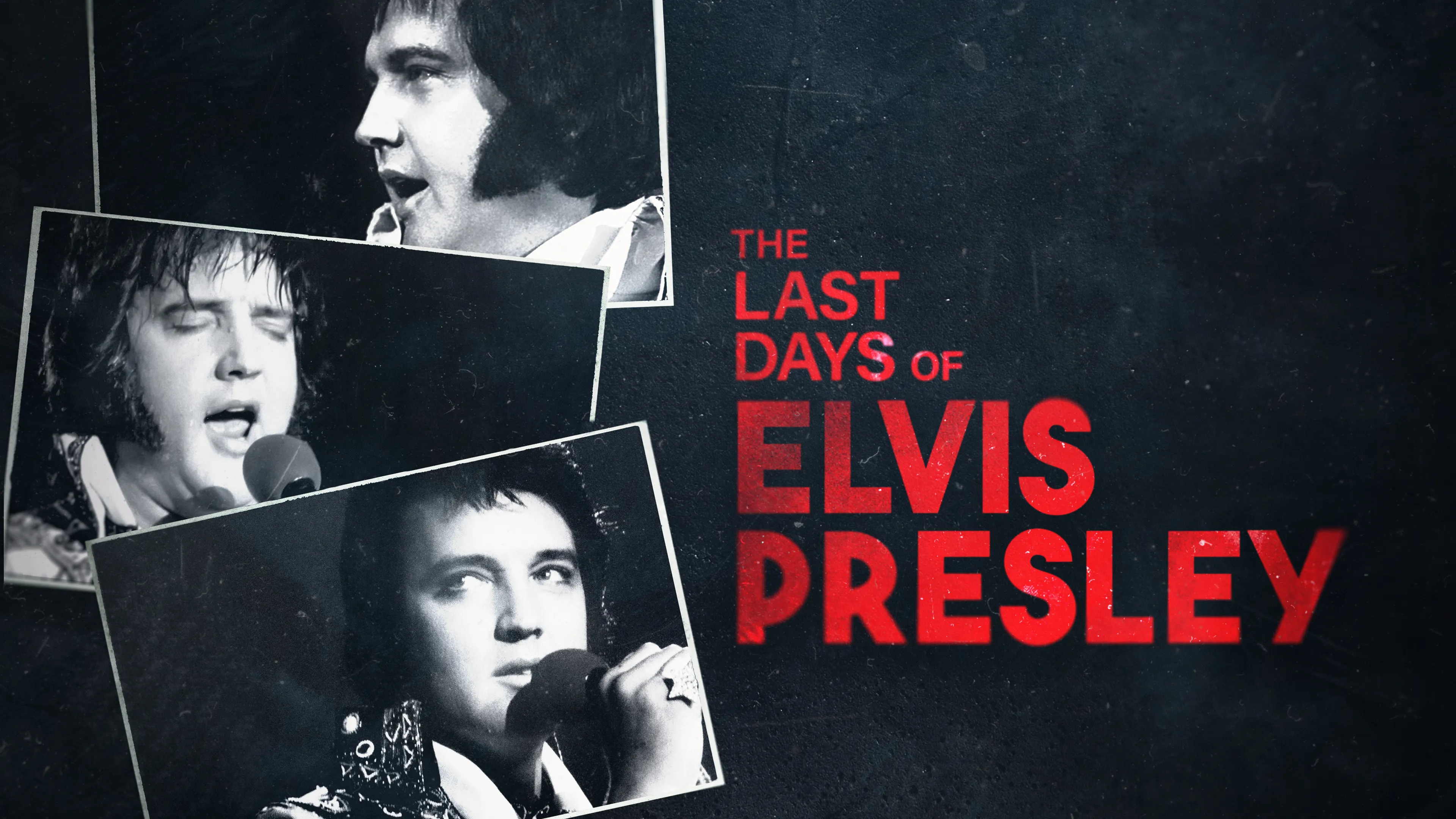 The Last Days of Elvis Presley poster
